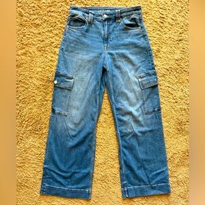 AE HR Baggy Cargo Wide Leg Jean Pants